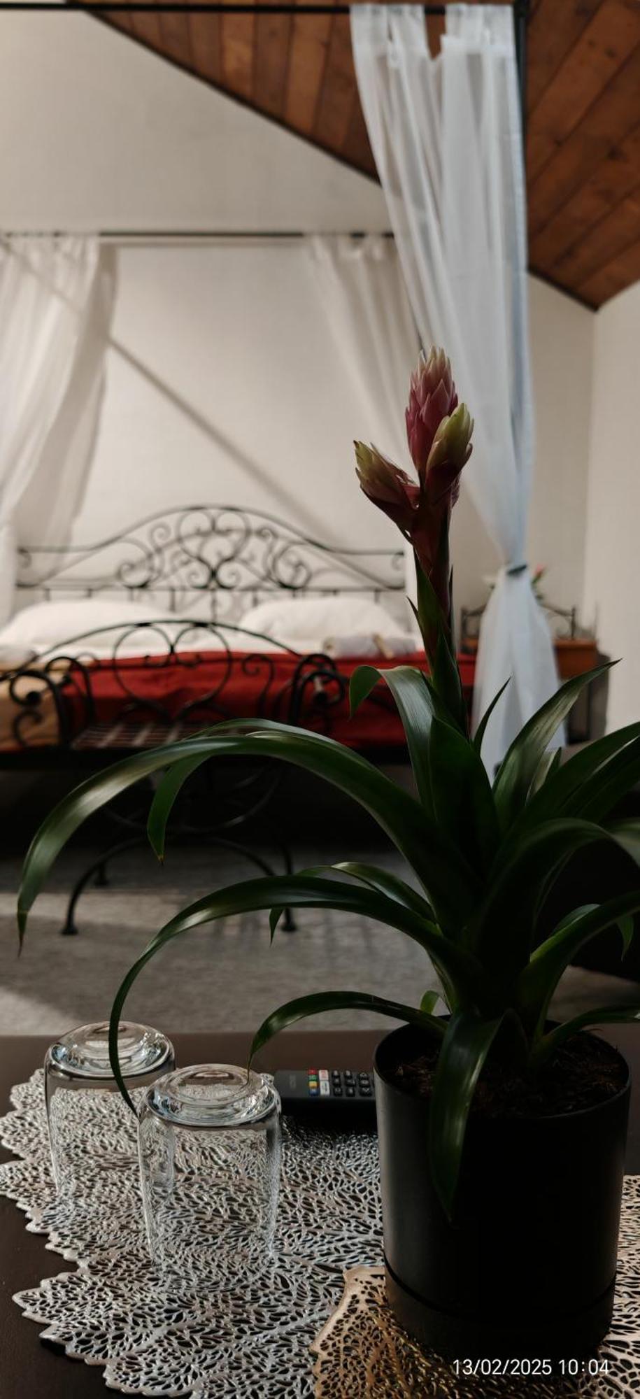 Hotel Plzensky Dvur Frýdek-Místek Buitenkant foto