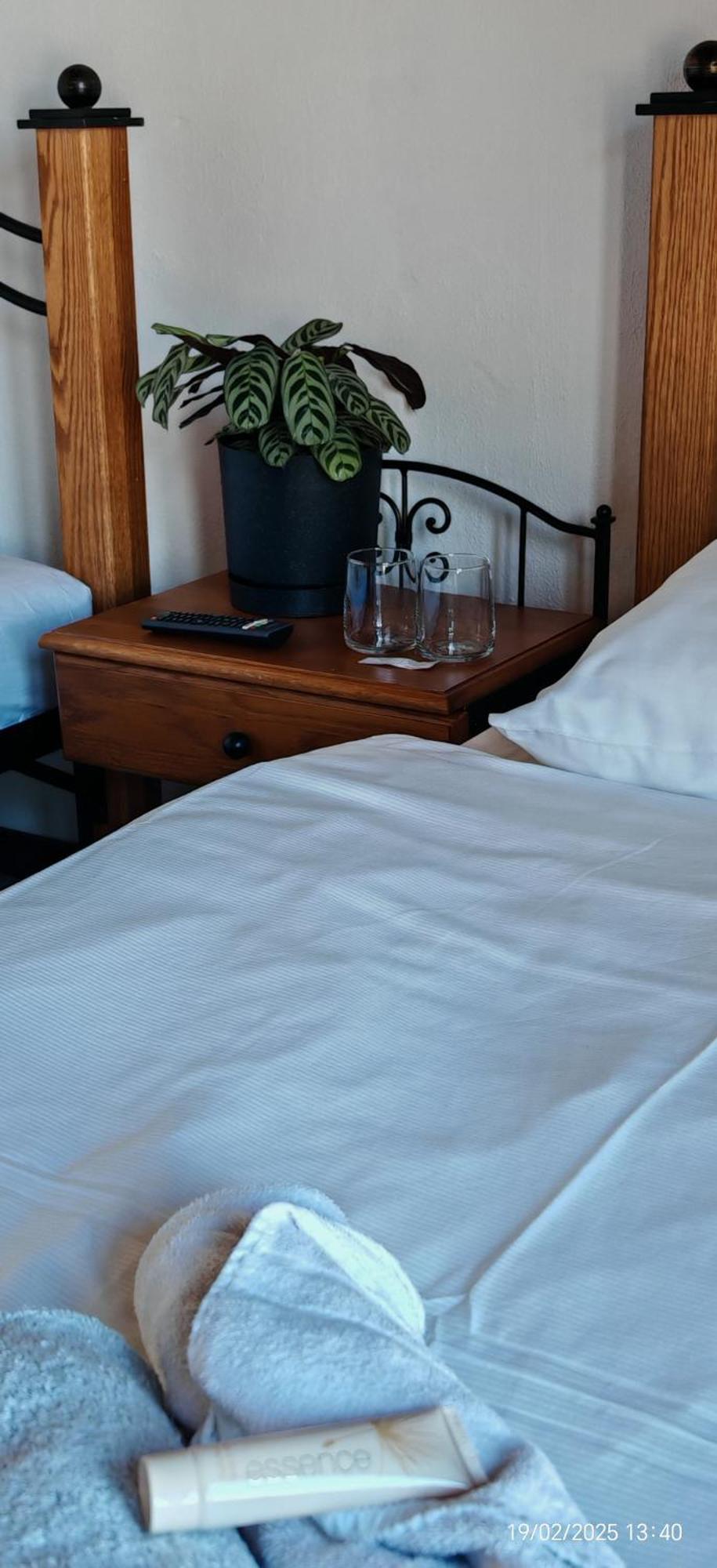 Hotel Plzensky Dvur Frýdek-Místek Buitenkant foto