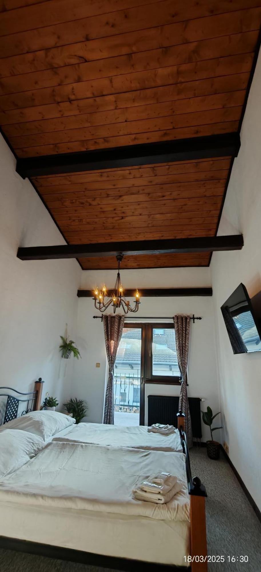 Hotel Plzensky Dvur Frýdek-Místek Buitenkant foto
